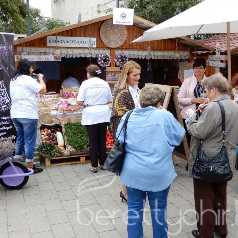 Helyi Értékek Startja 48